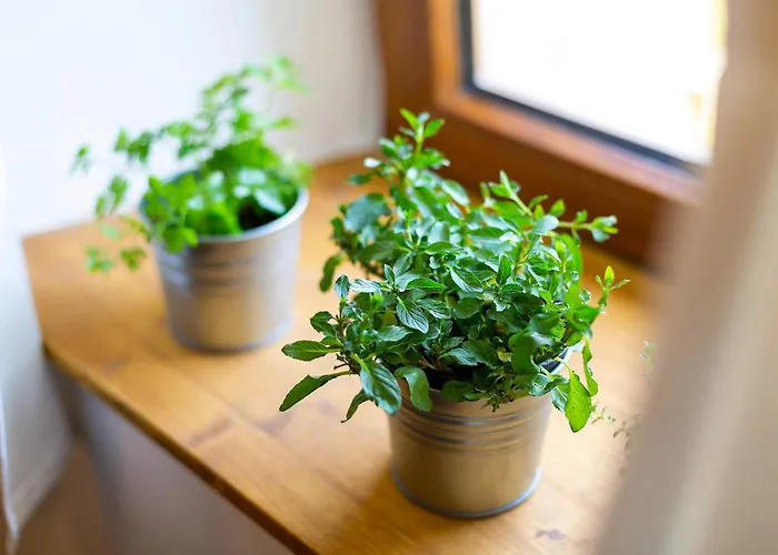 Semesterbostad Almar In - Haus Für 4 Personen Rakalj